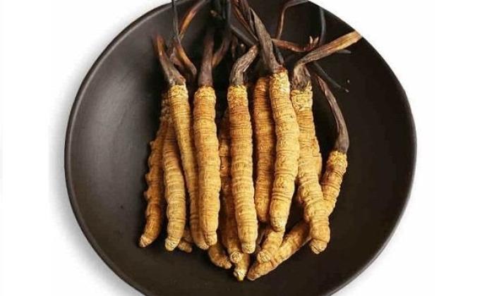 ​Đ&ocirc;ng tr&ugrave;ng hạ thảo (Cordyceps sinensis v&agrave; Cordyceps militaris) đ&atilde; được nghi&ecirc;n cứu rộng r&atilde;i về c&aacute;c t&aacute;c dụng c&oacute; lợi đối với sức khỏe