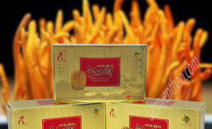 Đ&ocirc;ng Tr&ugrave;ng Hạ Thảo Cho Trẻ Em