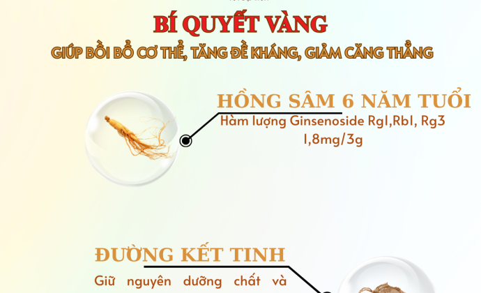 Nơi mua Tr&agrave; hồng s&acirc;m uy t&iacute;n tại Phường Ph&uacute; Định, TP. Hồ Ch&iacute; Minh
