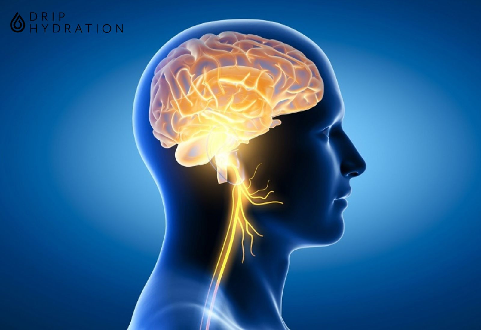 Thời điểm tốt nhất trong ngày để uống nước hồng sâm Hàn Quốc
