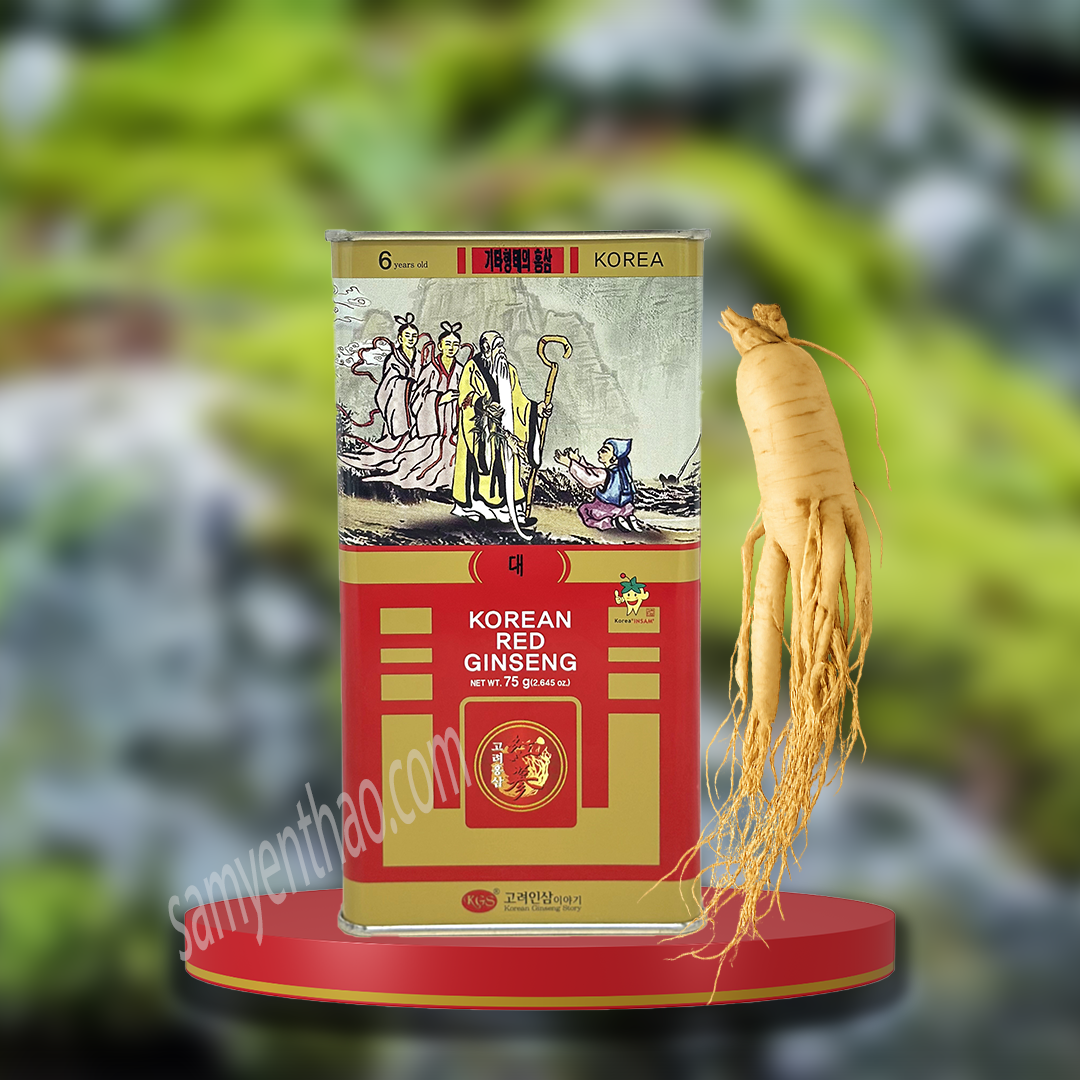 Mua Sâm Hàn Quốc uy tín tại thành phố Hồ Chí Minh - HOÀNG MINH ANH