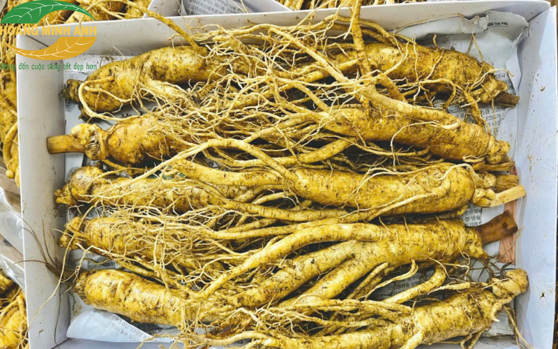 "tặng quà gì cho người thân"