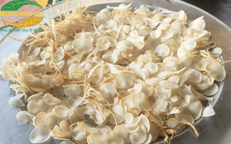 Hướng dẫn sử dụng Nhân Sâm phòng chống đột quỵ cho người Trung Niên